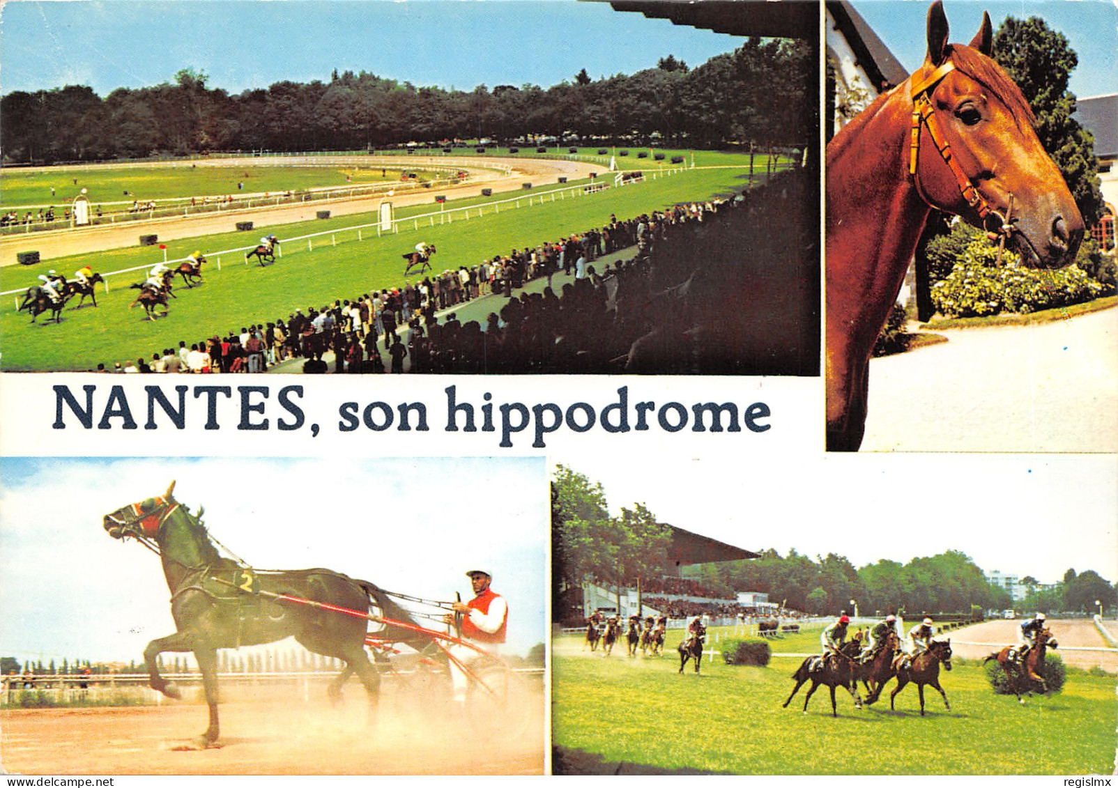44-NANTES-HIPPODROME-N°579-A/0313 - Nantes