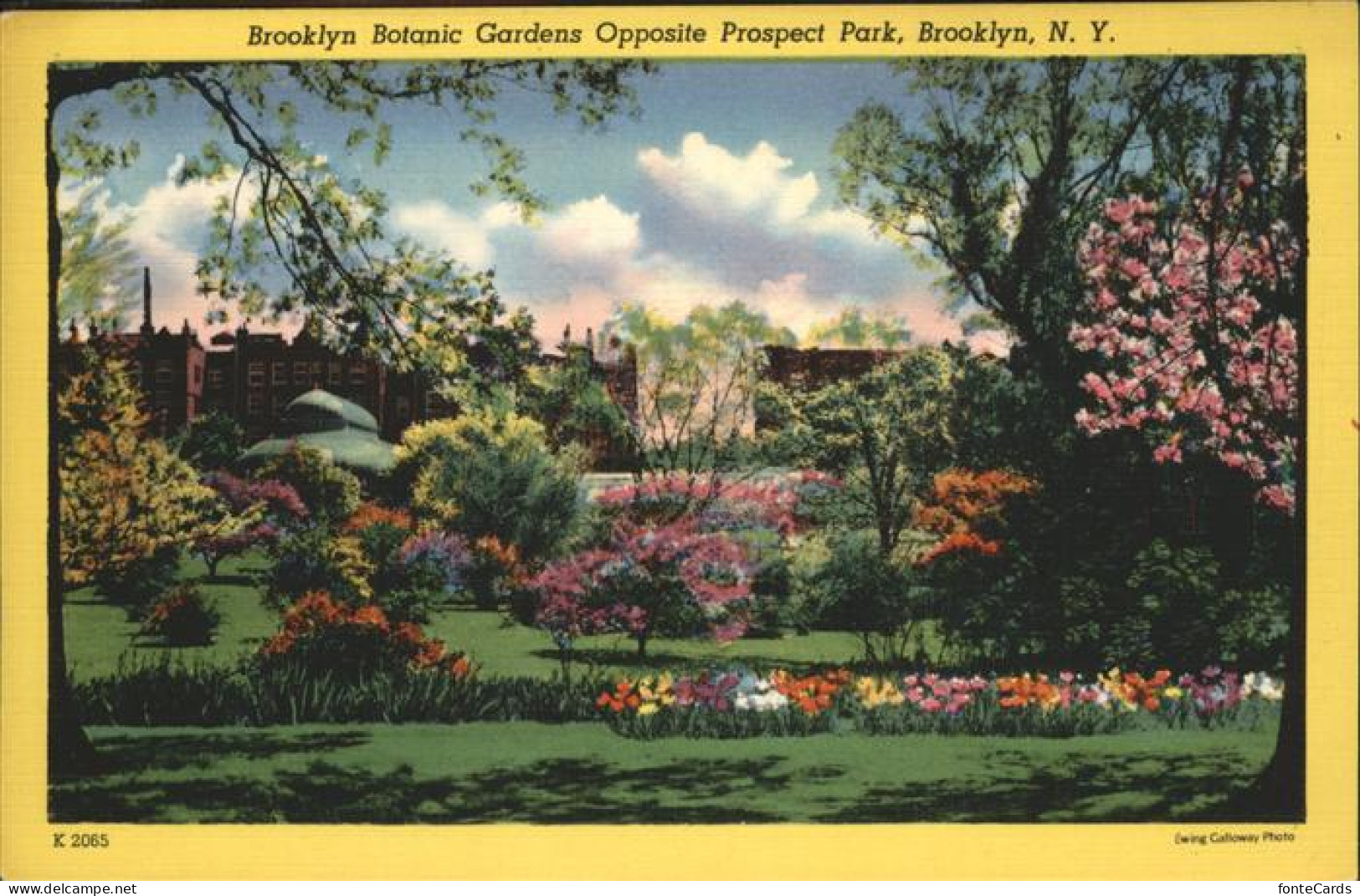 11326101 Brooklyn_New_York Botanic Gardens Prospect Park - Other & Unclassified