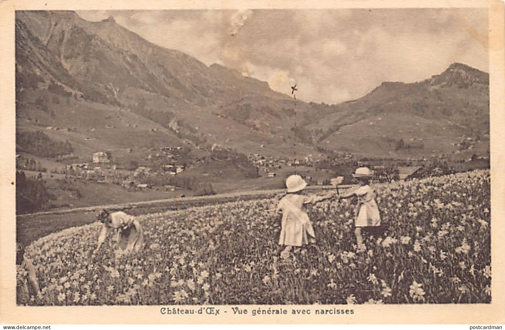 CHÂTEAU D'OEX (VD) Vue Générale Avec Narcisses - Ed. A. Lenzi  - Château-d'Œx