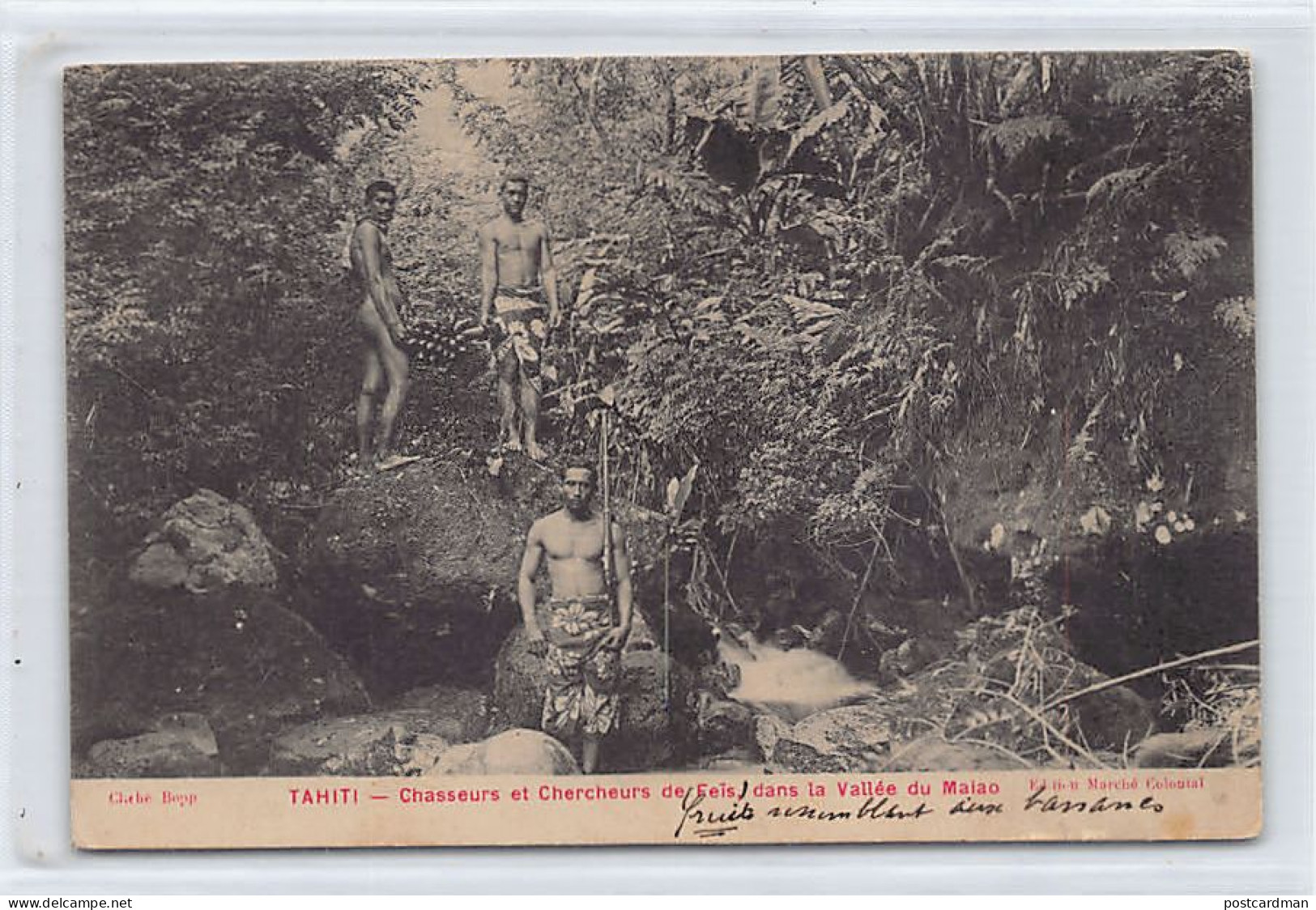 Polynésie - TAHITI - Chasseurs Et Chercheurs De Feïs Dans La Vallée Du Malo - Ed. Bopp - Marché Colonial  - Polynésie Française