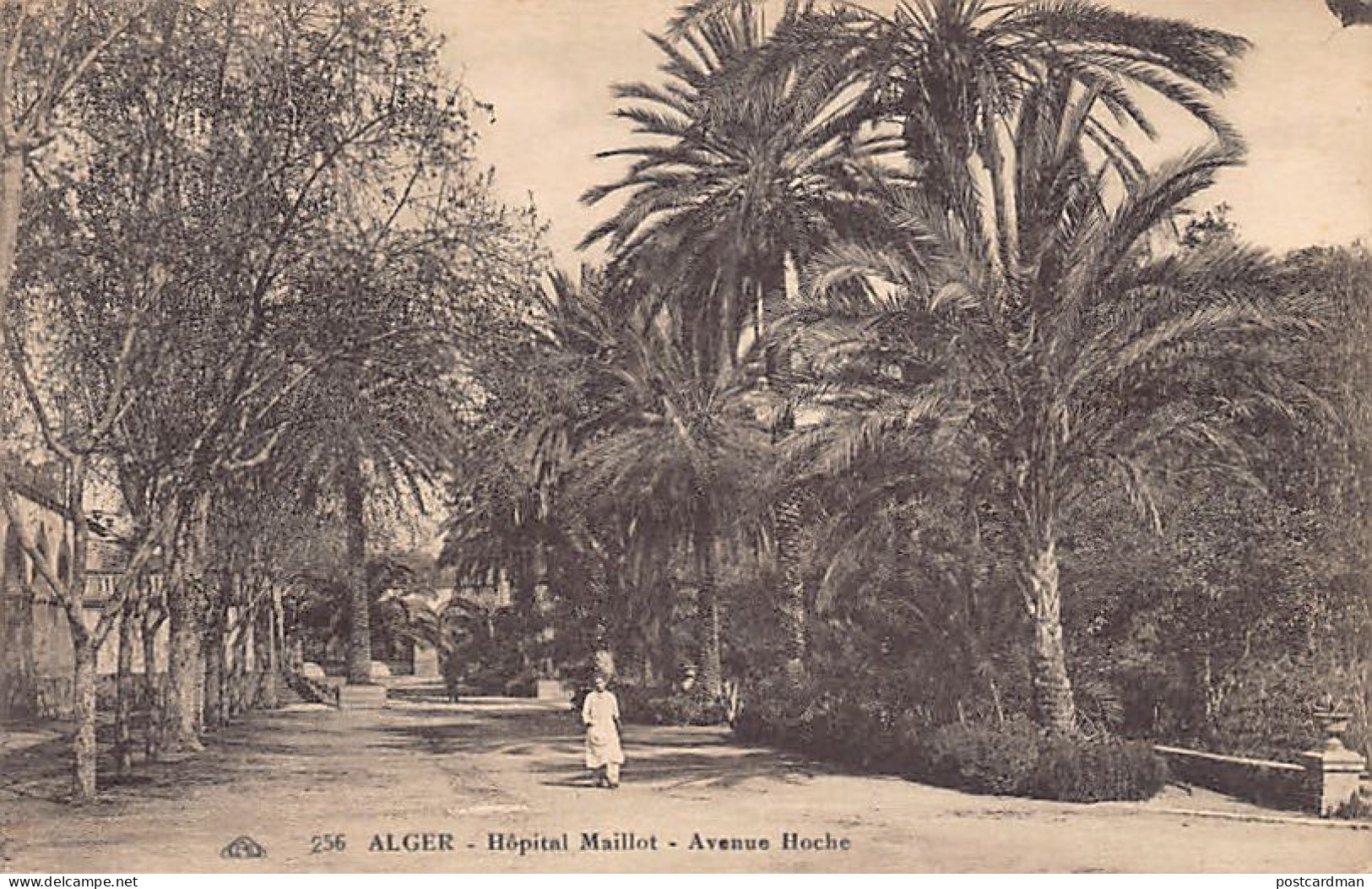 Algérie - ALGER Hôpital Maillot - Avenue Hoche - Ed. CAP 256 - Alger