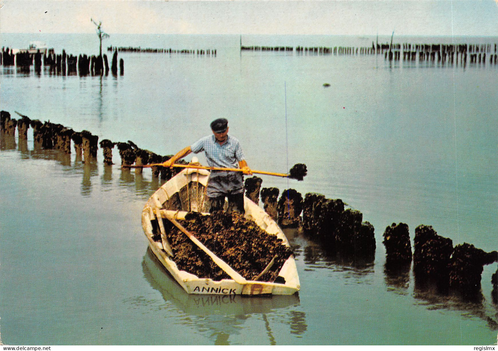 85-SCENE DE VENDEE-PARCS A MOULES-N°581-B/0223 - Sonstige & Ohne Zuordnung