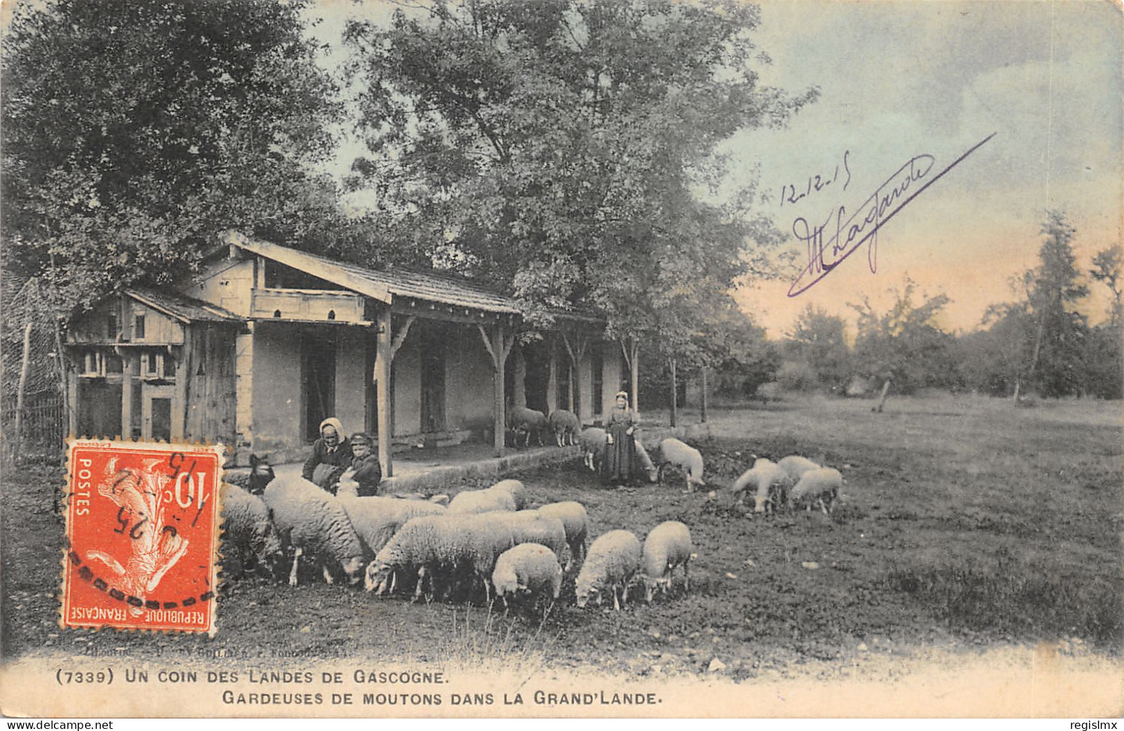 40-SCENE LANDAISE-GARDEUSE DE MOUTONS-N°583-C/0317 - Autres & Non Classés