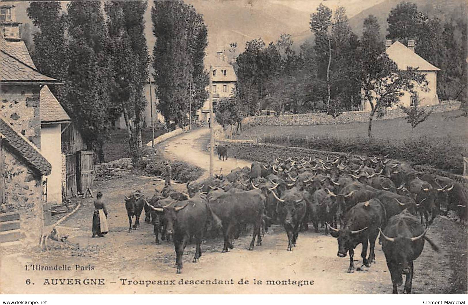 AUVERGNE - Troupeau Descandant De La Montagne - Très Bon état - Other & Unclassified