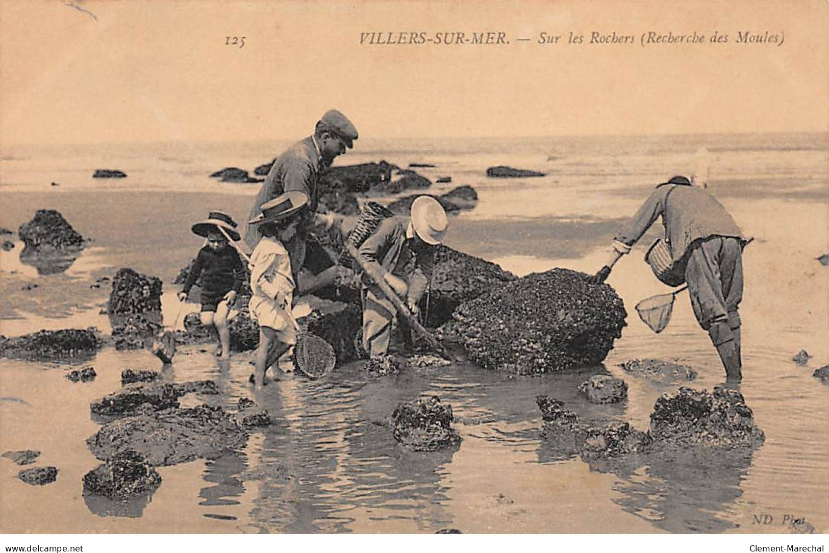 VILLERS SUR MER - Sur Les Rochers - Recherche Des Moules - Très Bon état - Villers Sur Mer