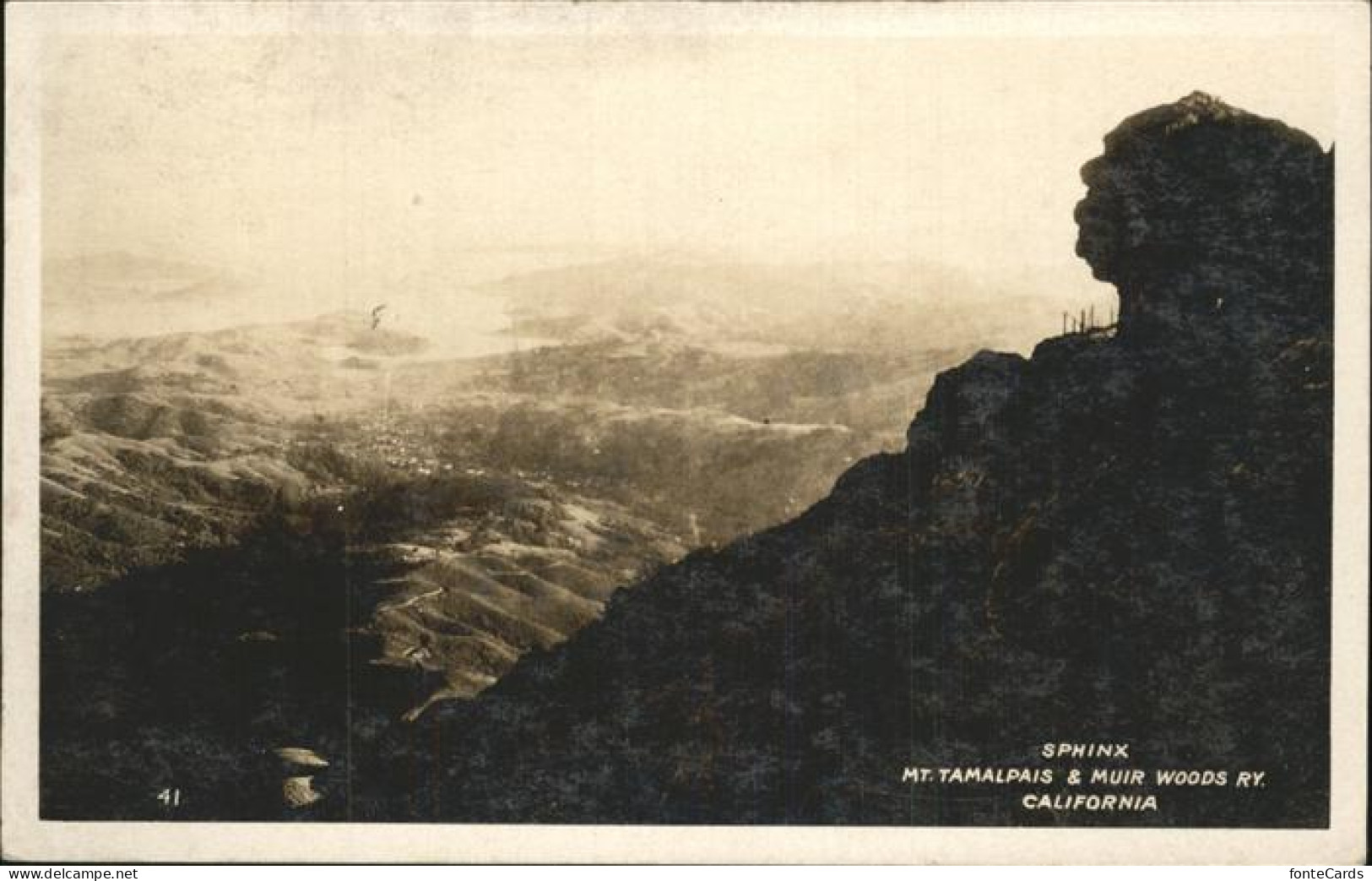 11325837 USA Sphinx Mt. Tamalpais Muir Woods California United States - Autres & Non Classés