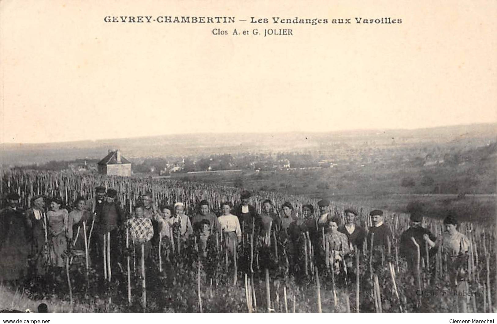 GEVREY CHAMBERTIN - Les Vendanges Aux Varoilles - Très Bon état - Gevrey Chambertin