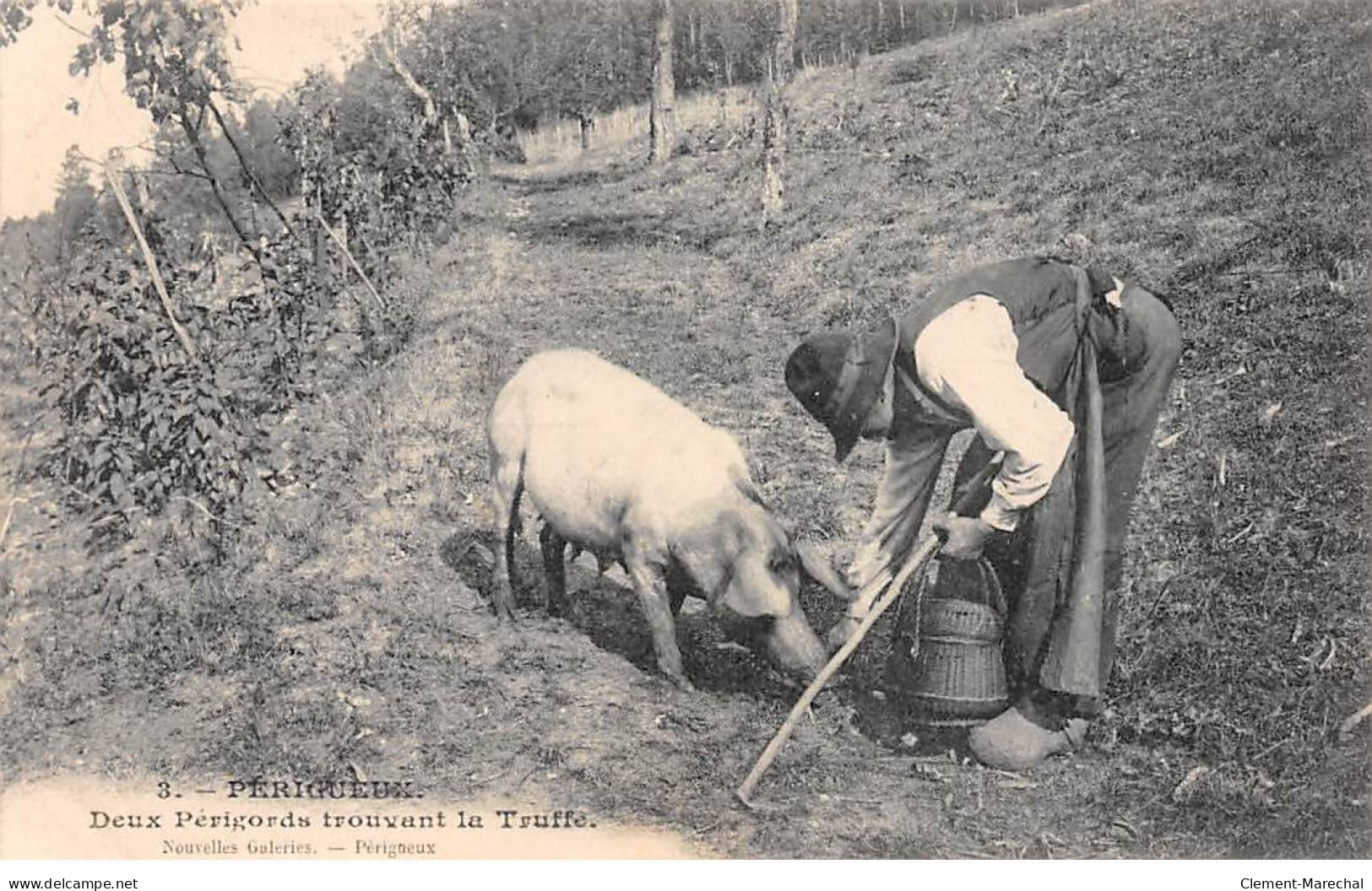 PERIGUEUX - Deux Périgords Trouvant La Truffe - Très Bon état - Périgueux