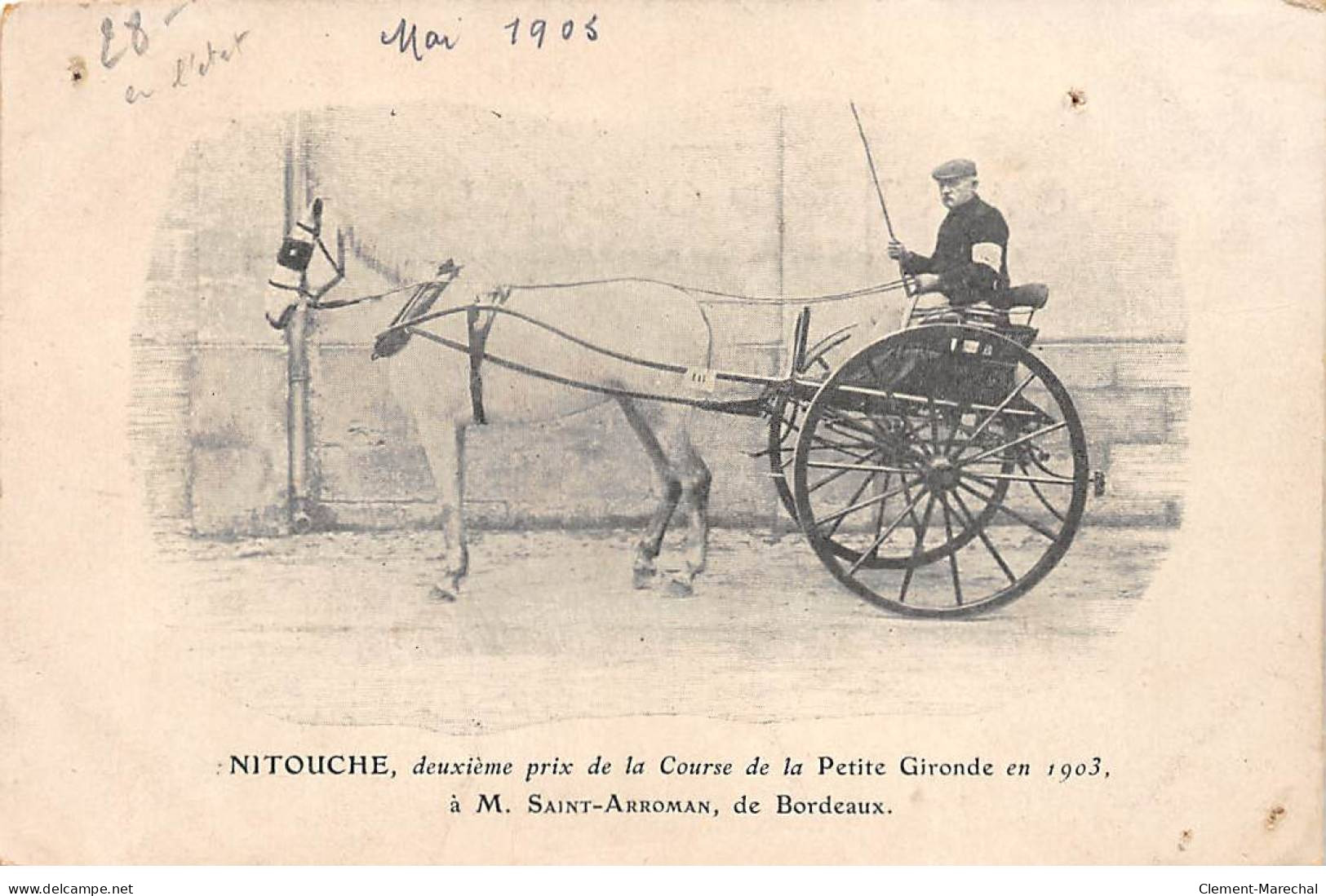 BORDEAUX - Nitouche, Deuxième Prix De La Course De La Petite Gironde En 1903 - état - Bordeaux