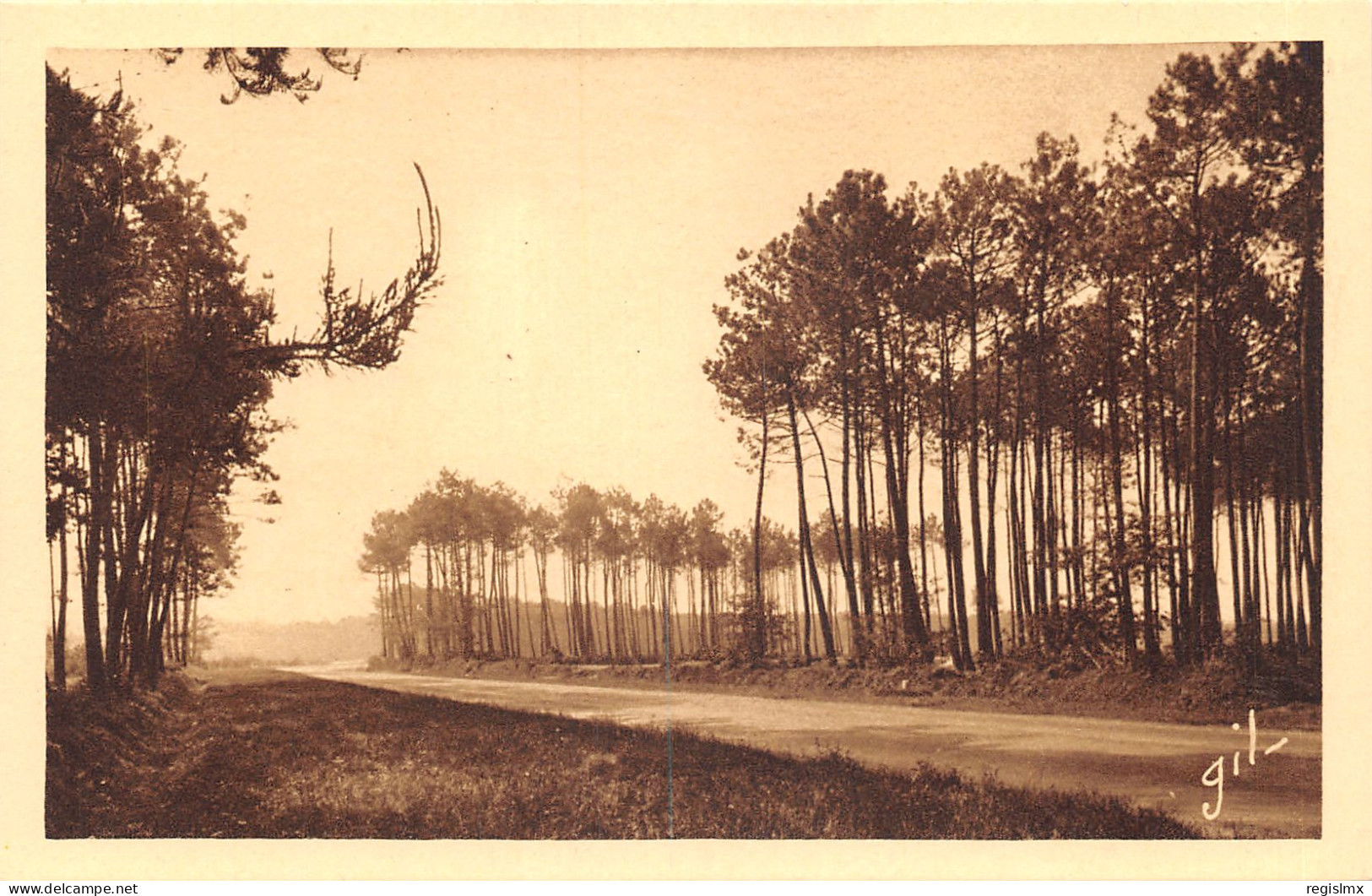 72-CIRCUIT AUTOMOBILE DE LA SARTHE-N°584-E/0205 - Autres & Non Classés