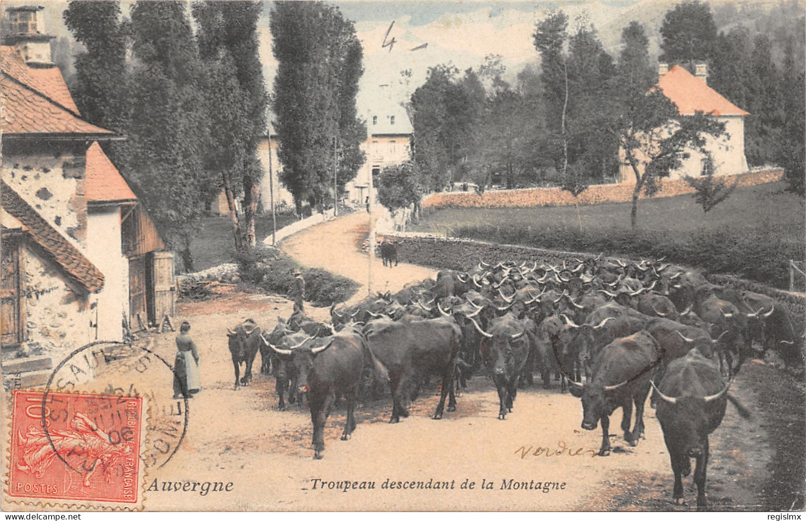 63-SCENE D AUVERGNE-TROUPEAU DESCENDANT DE LA MONTAGNE-N°584-C/0279 - Otros & Sin Clasificación