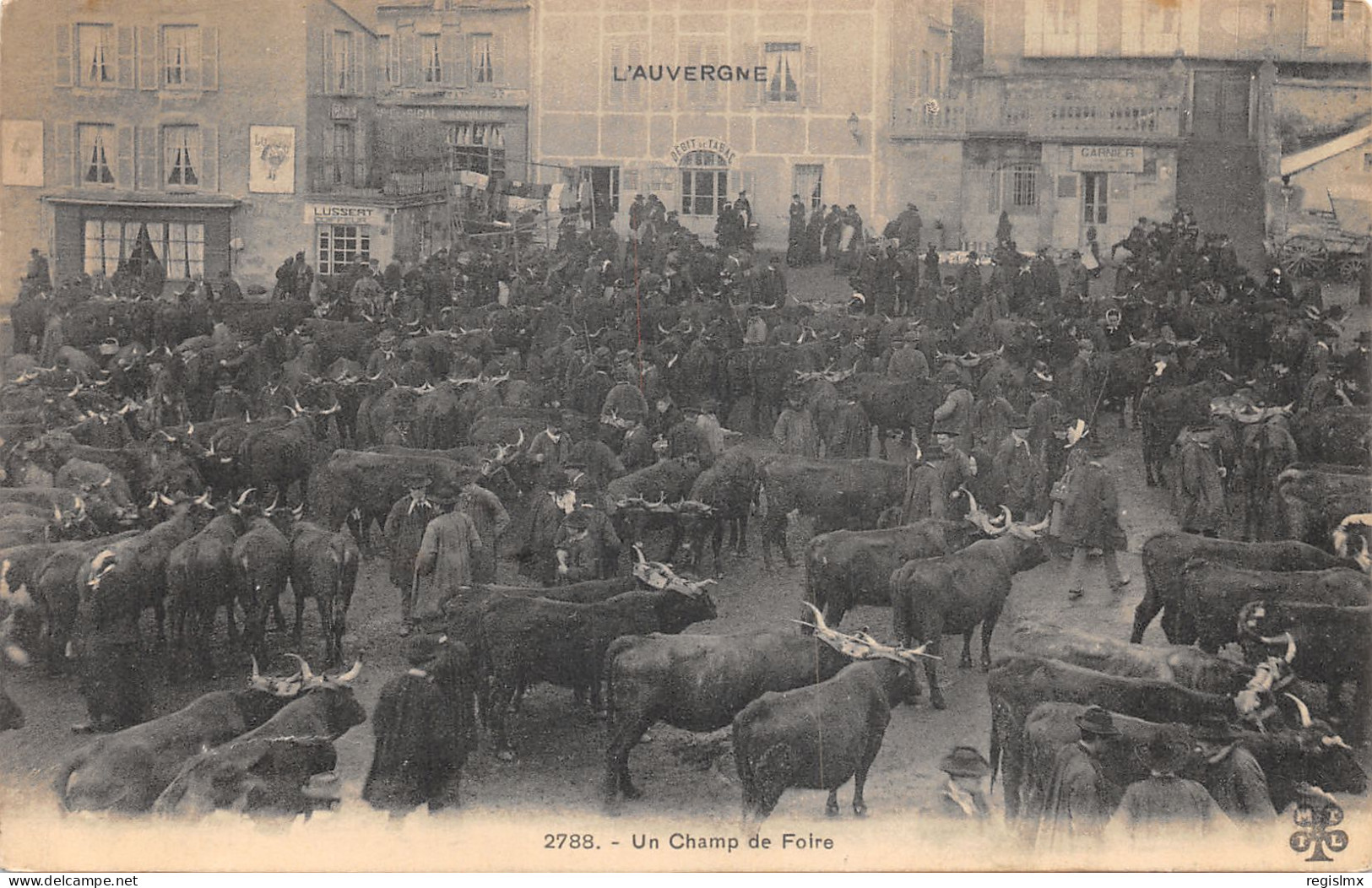 63-SCENE D AUVERGNE-MARCHE AUX BESTIAUX-N°584-C/0257 - Andere & Zonder Classificatie