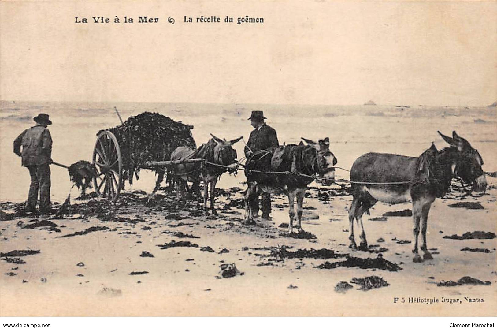 La Vie à La Mer - La Récolte Du Goëmon - Très Bon état - Other & Unclassified