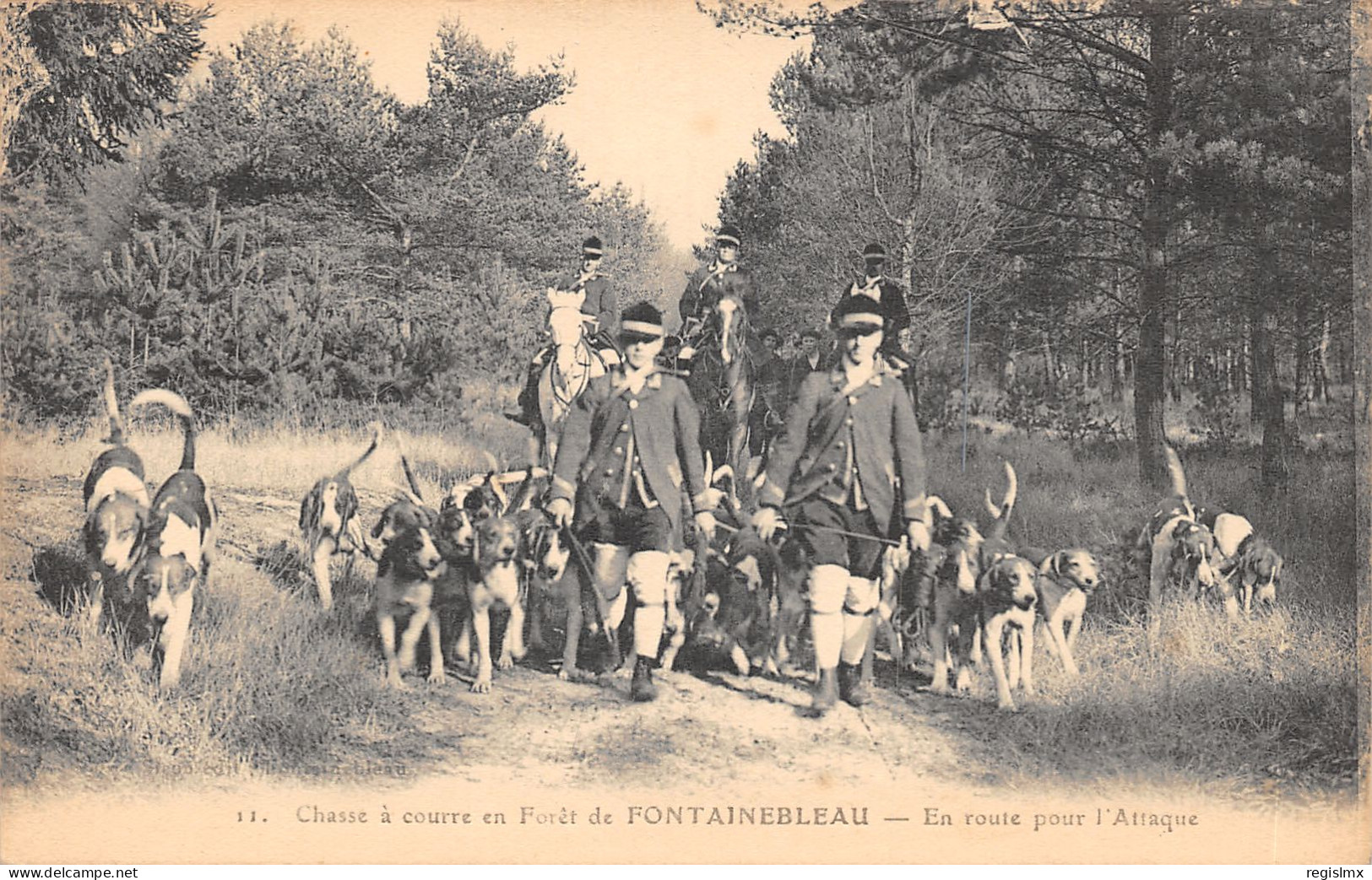 77-FONTAINEBLEAU-CHASSE A COURRE-N°584-H/0093 - Fontainebleau