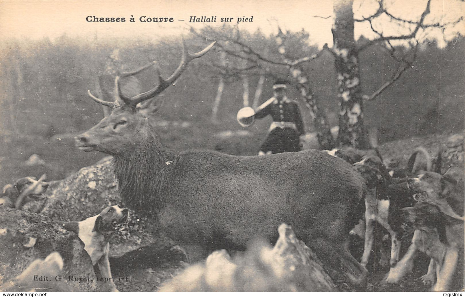 77-FONTAINEBLEAU-CHASSE A COURRE-N°584-H/0089 - Fontainebleau