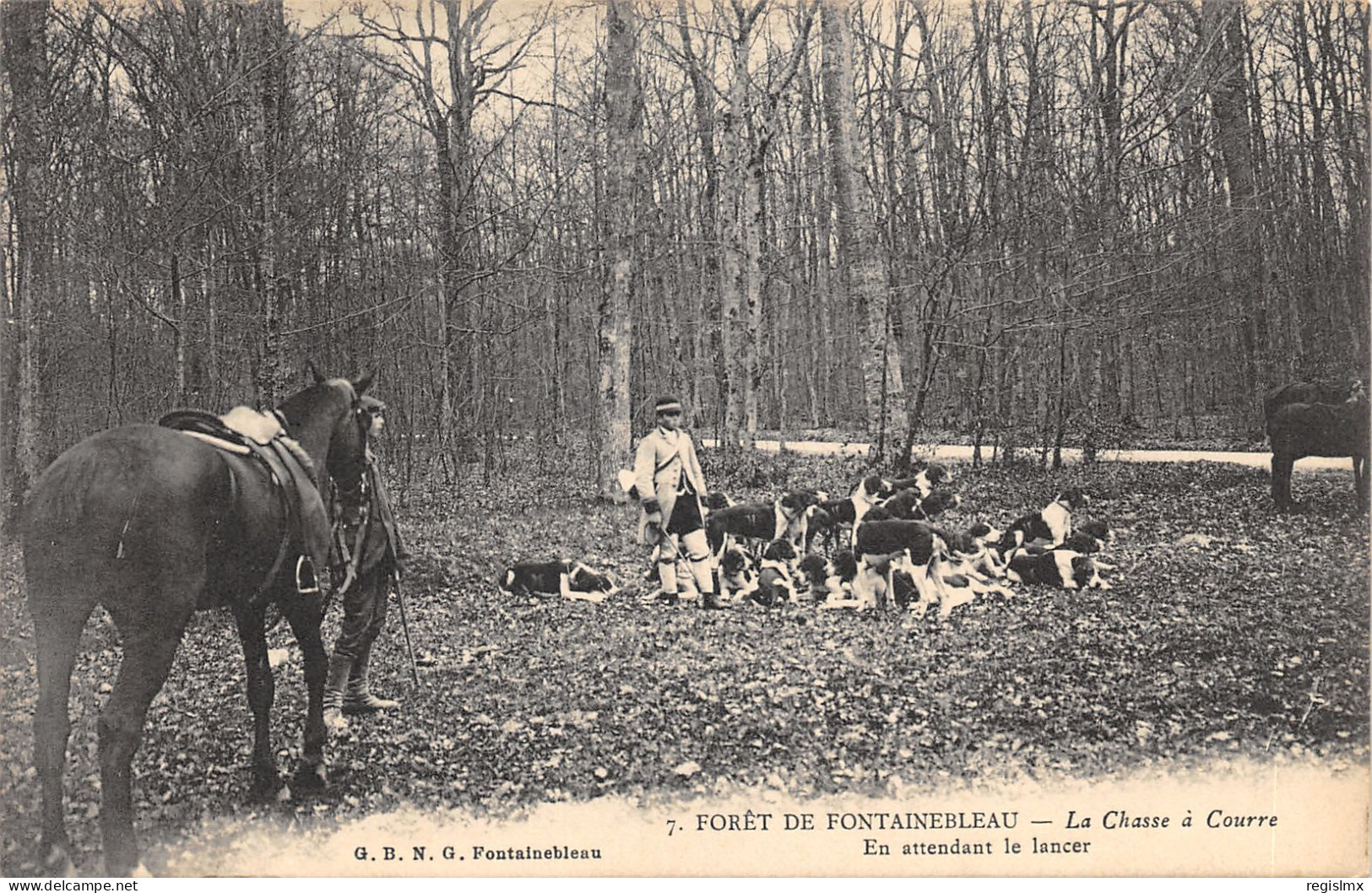 77-FONTAINEBLEAU-CHASSE A COURRE-N°584-H/0069 - Fontainebleau