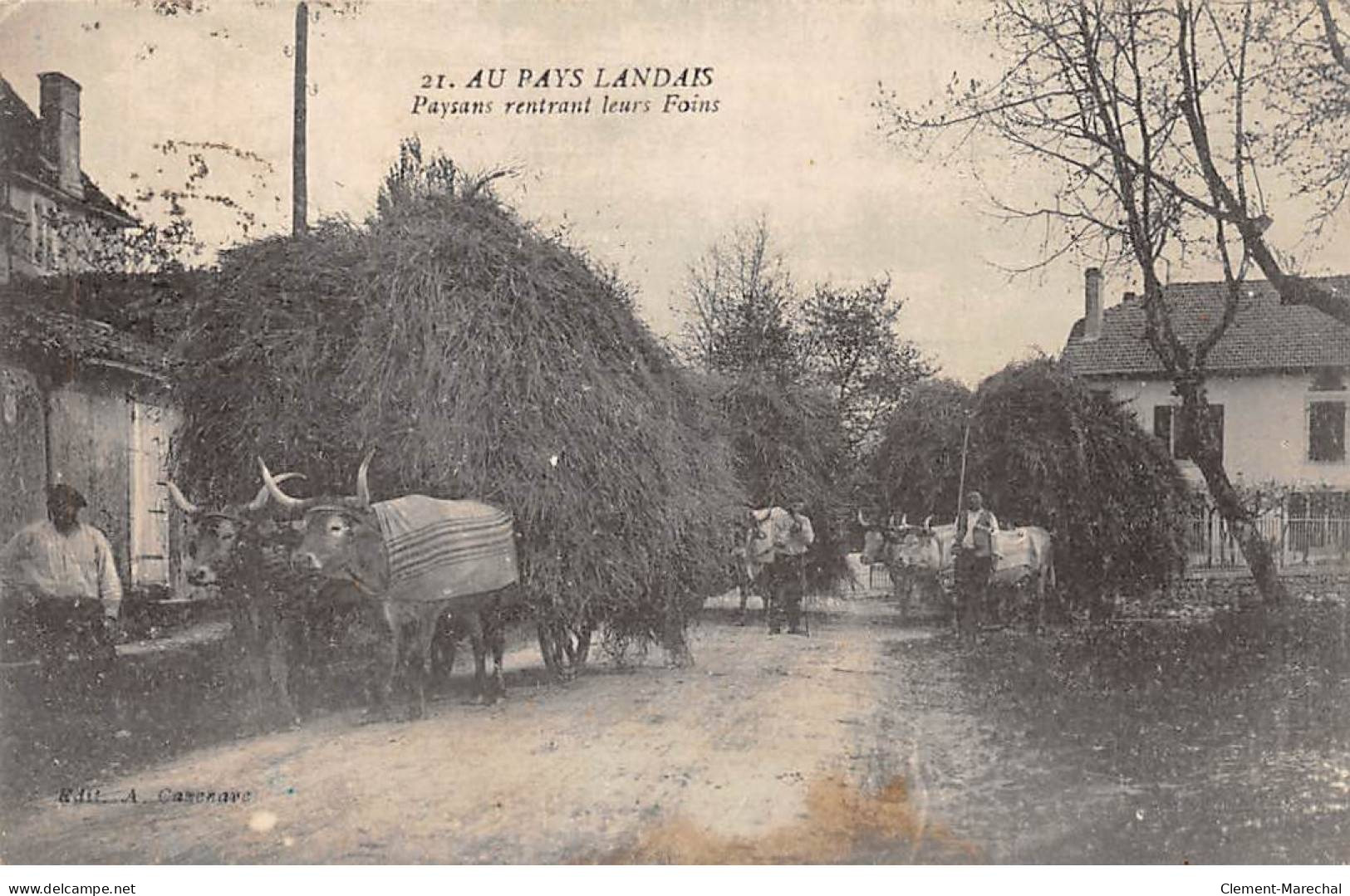 Au Pays Landais - Paysans Rentrant Leurs Foins - Très Bon état - Autres & Non Classés