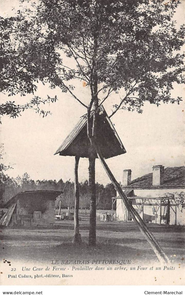 LE BAZADAIS Pittoresque - Une Cour De Ferme - Poulailler Dans Un Arbre - Un Four Et Un Puits - Très Bon état - Autres & Non Classés