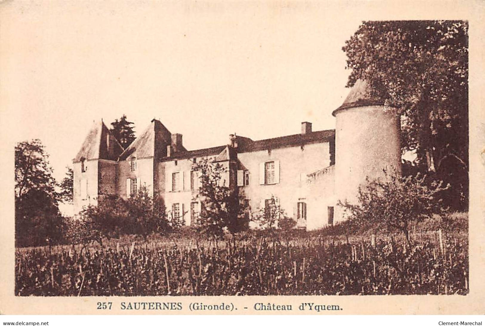 SAUTERNES - Château D'Yquem - Très Bon état - Andere & Zonder Classificatie