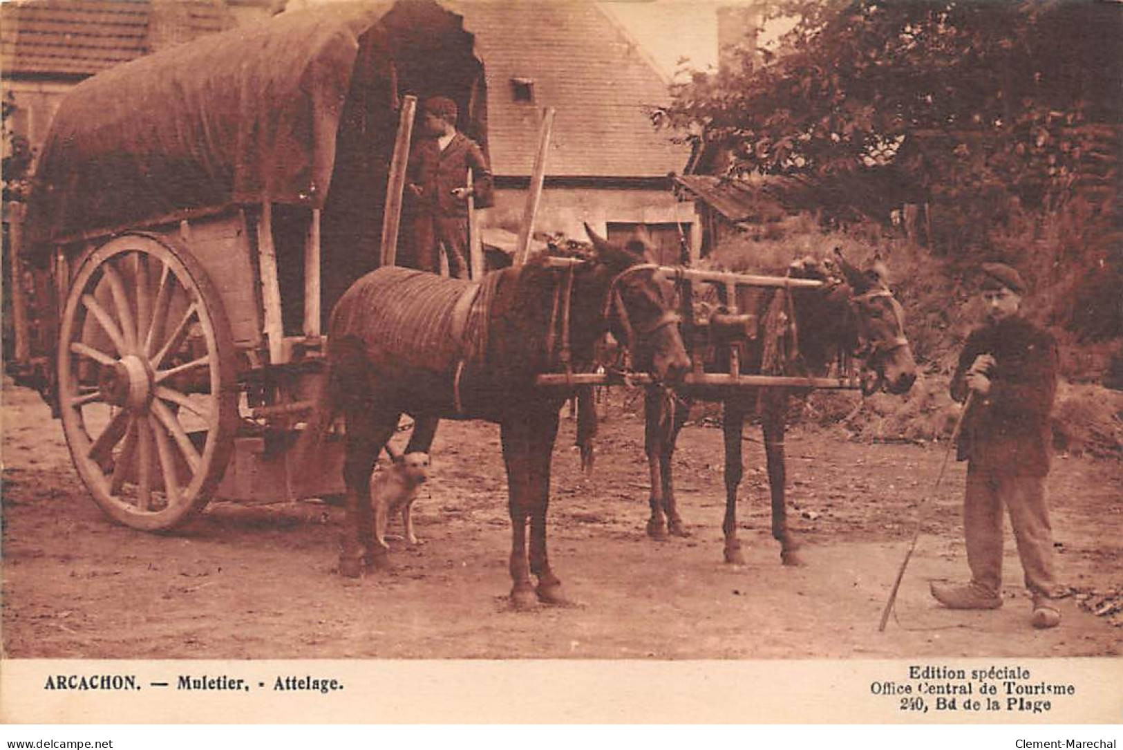 ARCACHON - Muletier - Attelage - état - Arcachon