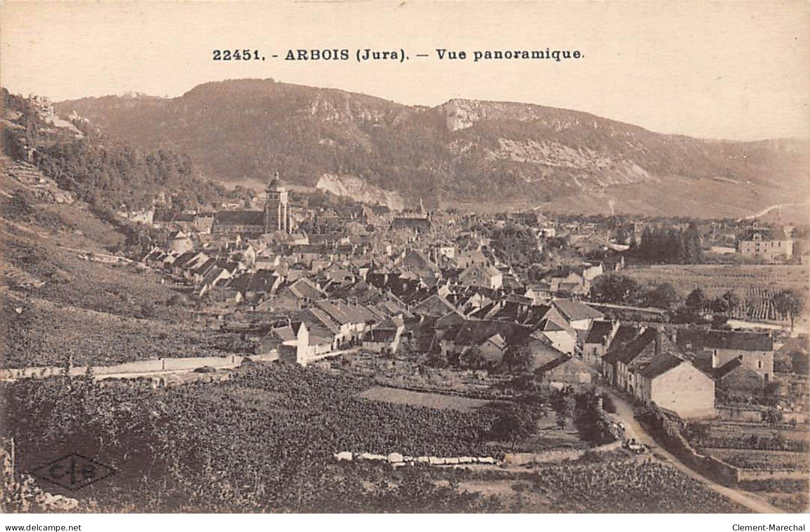 ARBOIS - Vue Panoramique - Très Bon état - Arbois