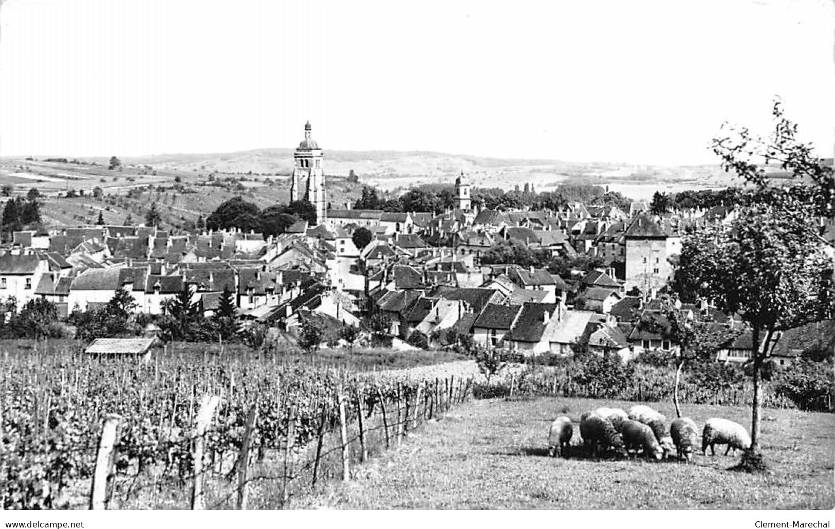 ARBOIS - Vue Générale - Très Bon état - Arbois