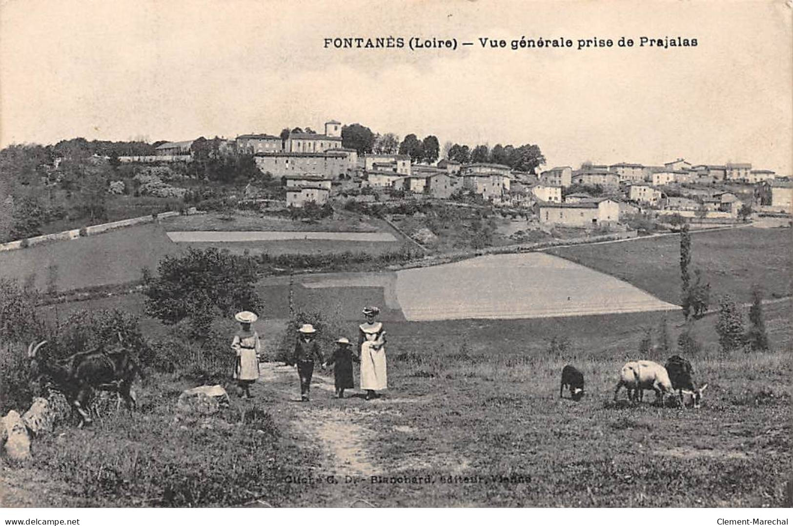 FONTANES - Vue Générale Prise De Prajalas - Très Bon état - Autres & Non Classés