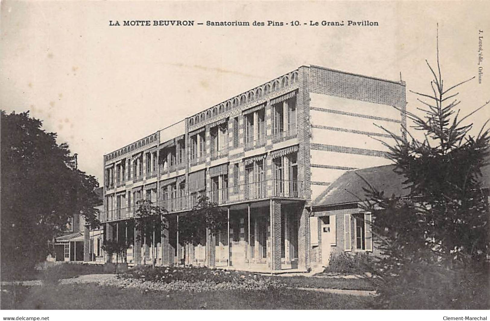 LAMOTTE BEUVRON - Sanatorium Des Pins - Le Grand Pavillon - Très Bon état - Lamotte Beuvron