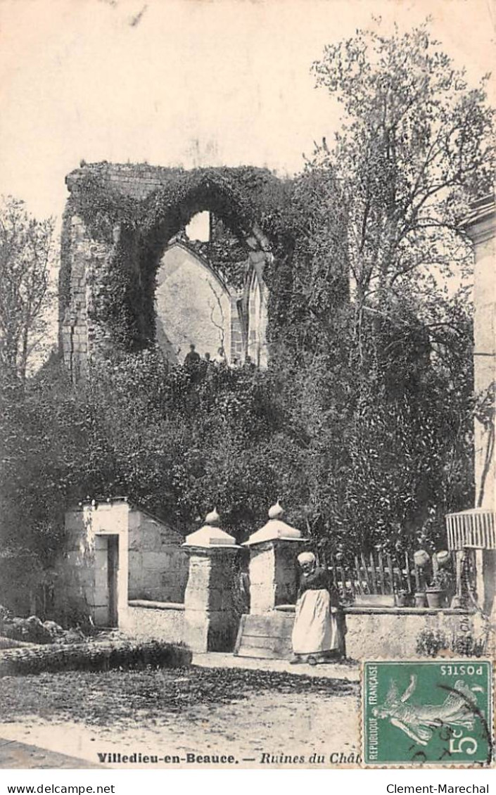 VILLEDIEU EN BEAUCE - Ruines Du Château - Très Bon état - Autres & Non Classés