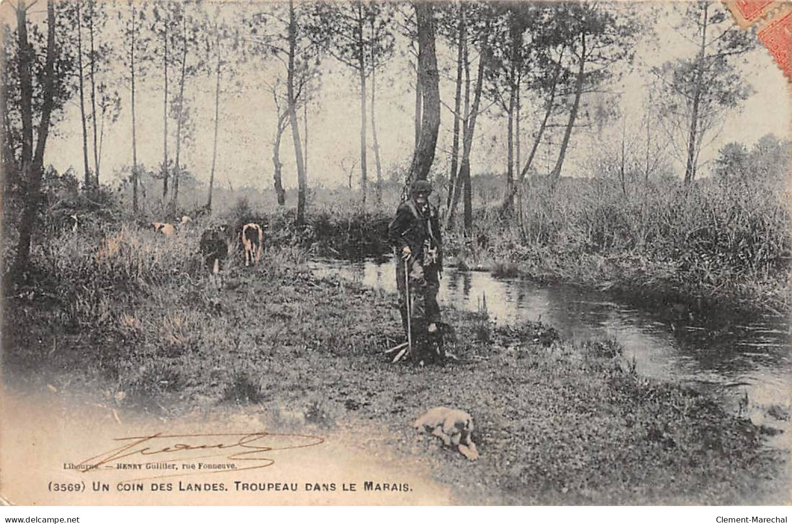 Un Coin Des Landes - Troupeau Dans Le Marais - Très Bon état - Other & Unclassified