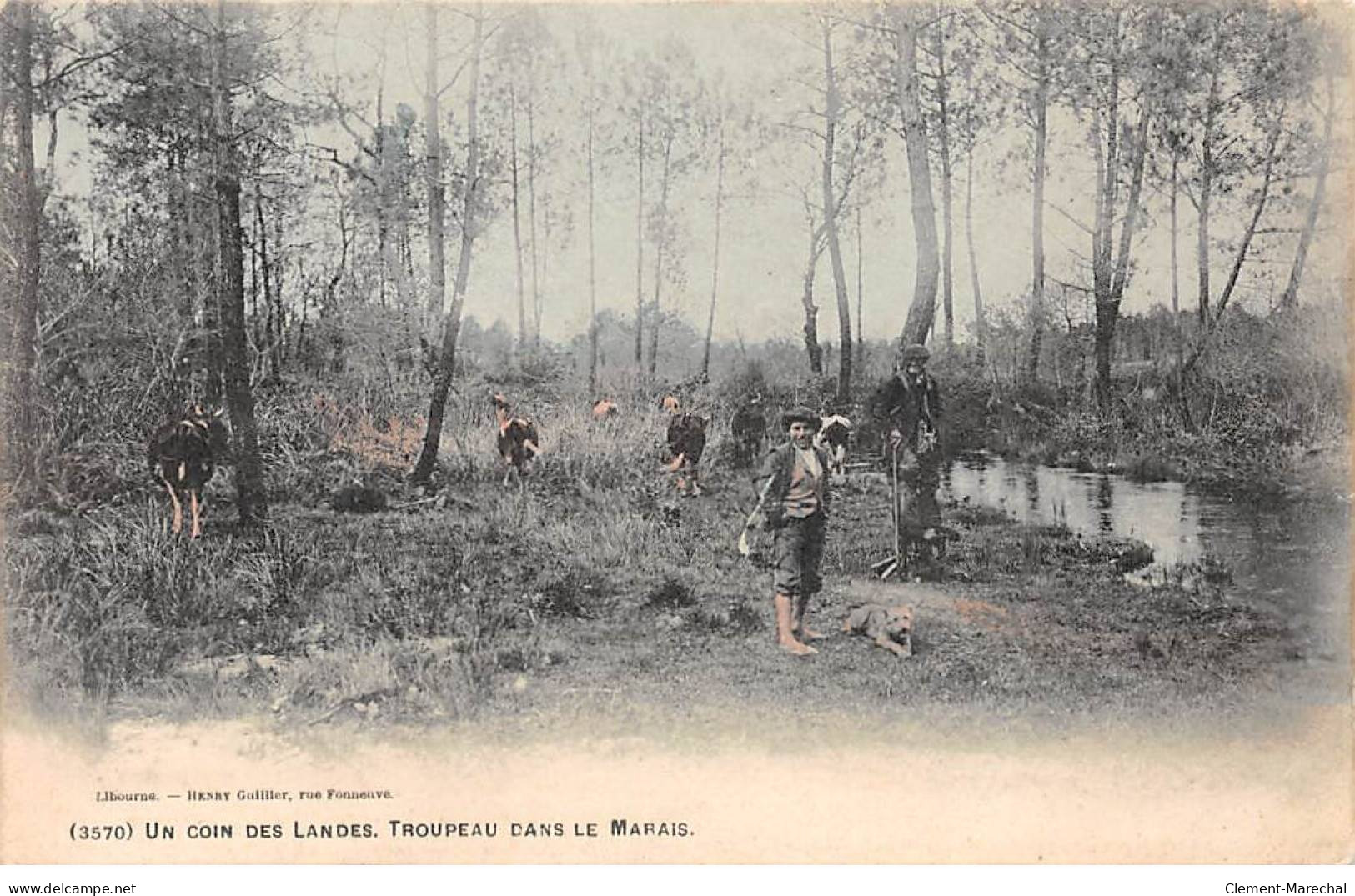 Un Coin Des Landes - Troupeau Dans Le Marais - état - Sonstige & Ohne Zuordnung