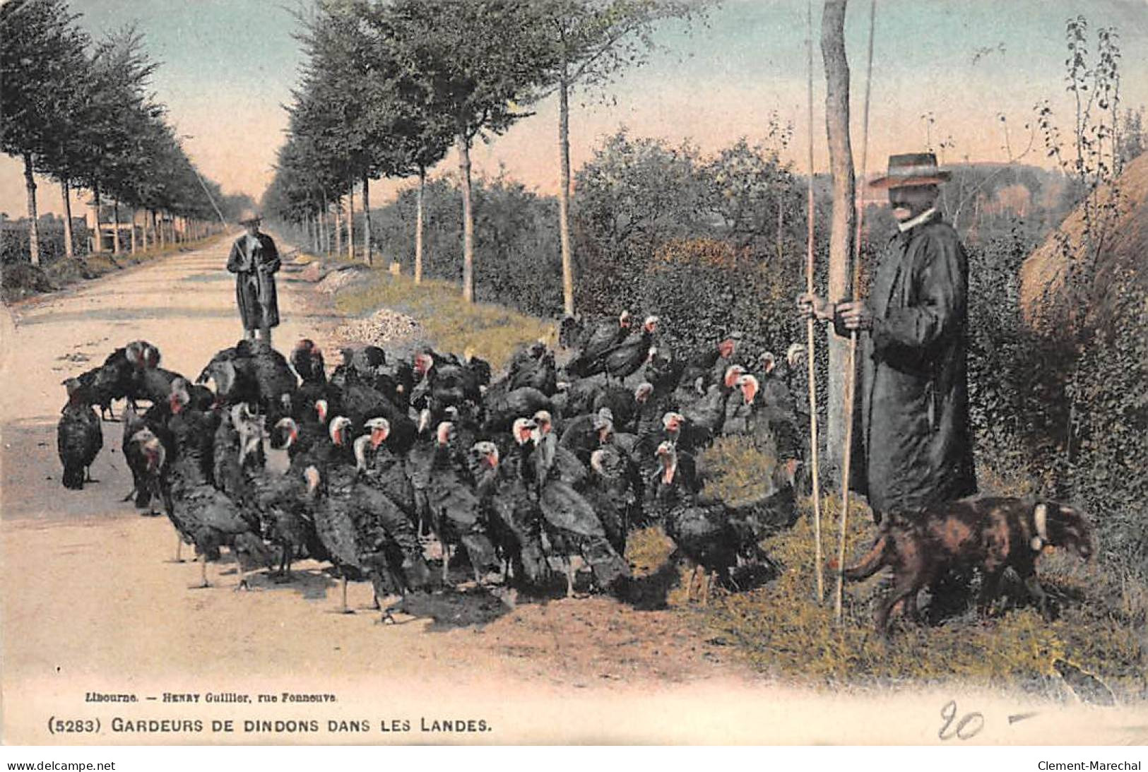 Gardeurs De Dindons Dans Les Landes - Très Bon état - Other & Unclassified