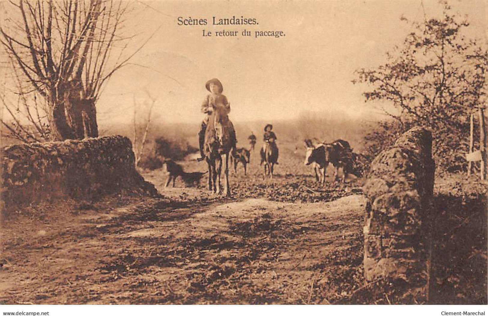 Scènes Landaises - Le Retour Du Paccage - Très Bon état - Otros & Sin Clasificación