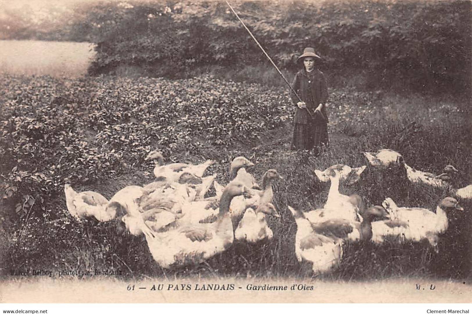 Au Pays Landais - Gardienne D'Oies - Très Bon état - Autres & Non Classés