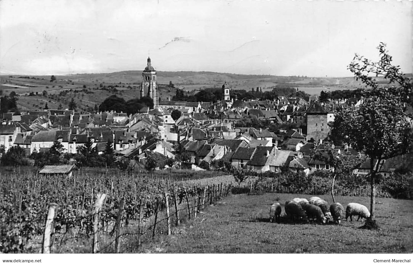 ARBOIS - Vue Générale - Très Bon état - Arbois