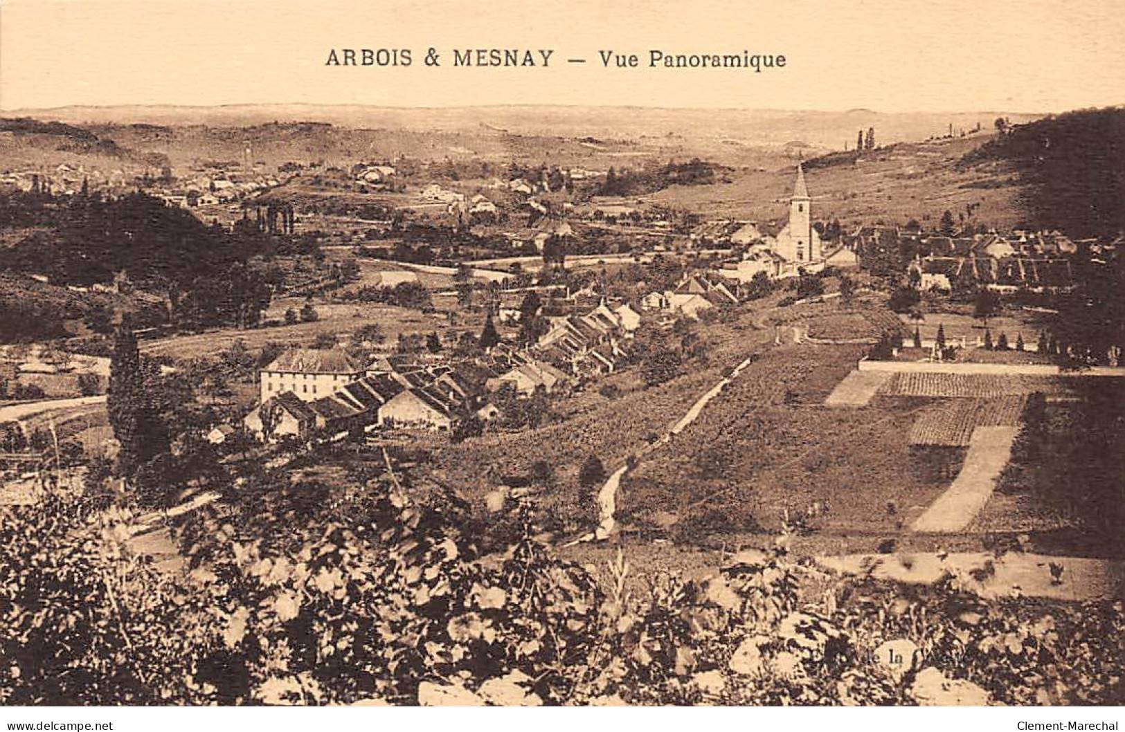 ARBOIS Et MESNAY - Vue Panoramique - Très Bon état - Arbois