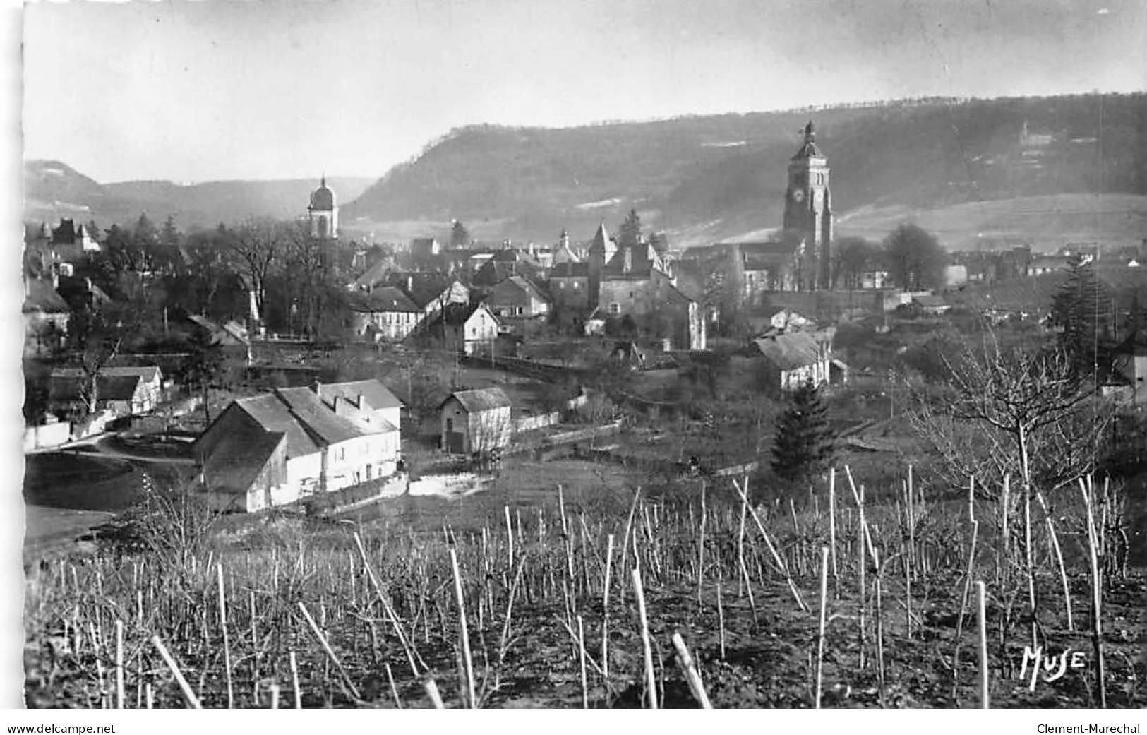 ARBOIS Et Son Vignoble - Vue Générale - Château Pecaud Et Tour De Vellefaux - Très Bon état - Arbois