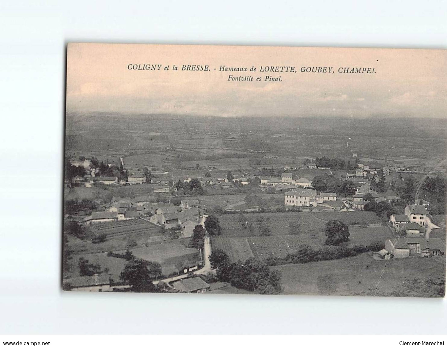 COLIGNY Et La BRESSE, Hameaux De LORETTE, GOUBEY, CHAMPEL, Fontville Es Pinal - Très Bon état - Ohne Zuordnung