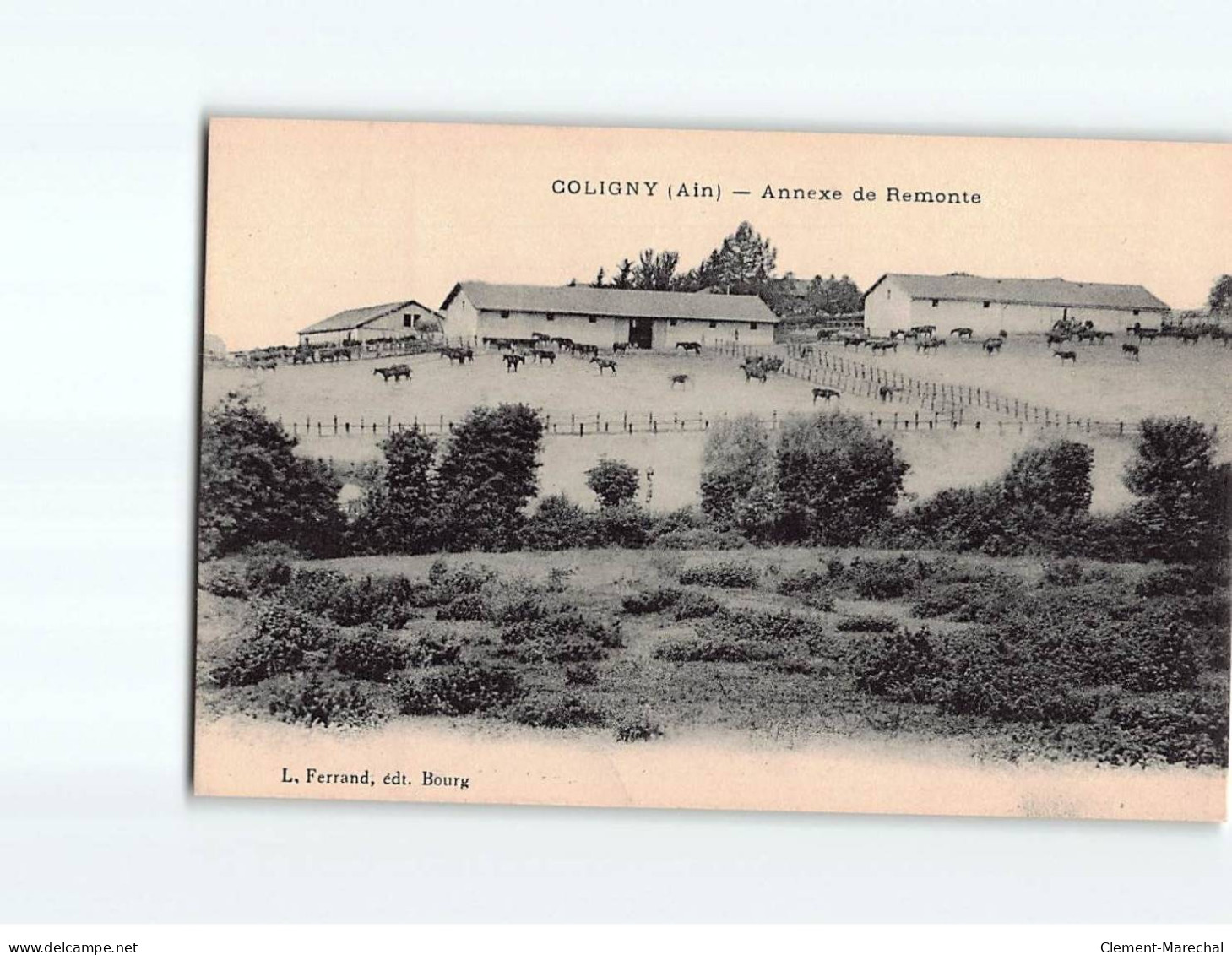 COLIGNY : Annexe De Remonte - Très Bon état - Unclassified