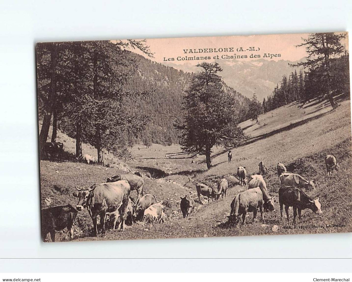 VALDEBLLORE : Les Colmianes Et Chaînes Des Alpes - état - Sonstige & Ohne Zuordnung