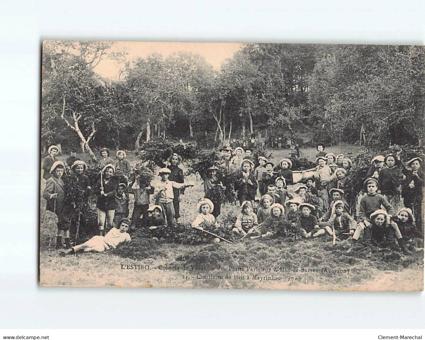 L'ESTIBO : Colonie De Vacances Des Petits Parisiens à Mur-de-Barrez, Cueillette De Buis à Mayrinhac - Très Bon état - Other & Unclassified