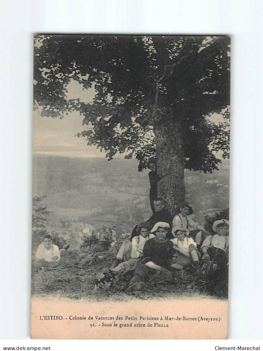 L'ESTIBO : Colonie De Vacances Des Petits Parisiens à Mur-de-Barrez, Sous Le Grand Arbre De Pleaux - Très Bon état - Sonstige & Ohne Zuordnung