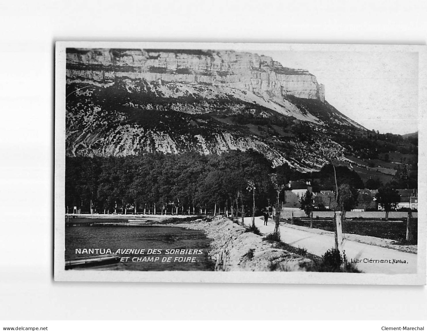 NANTUA : Avenue Des Sorbiers Et Champ De Foire - Très Bon état - Nantua