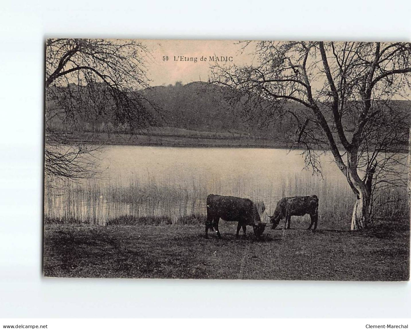 L'Etang De MADIC - Très Bon état - Andere & Zonder Classificatie