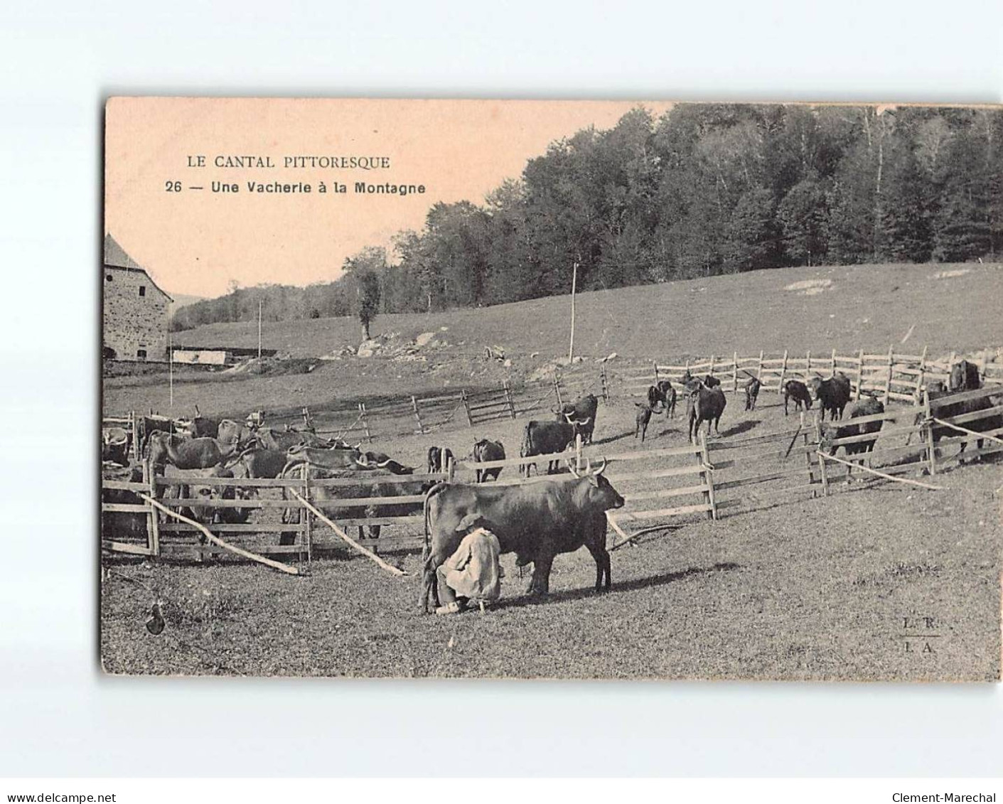 Une Vacherie à La Montagne - Très Bon état - Sonstige & Ohne Zuordnung