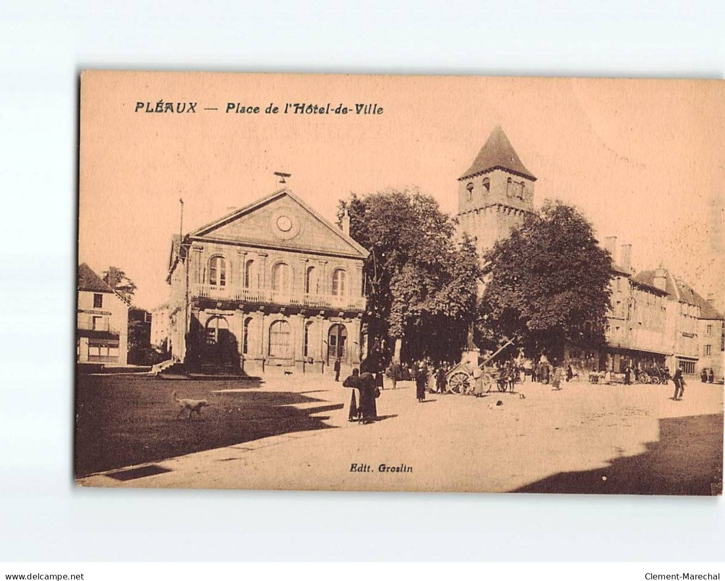 PLEAUX : Place De L'Hôtel De Ville - Très Bon état - Autres & Non Classés