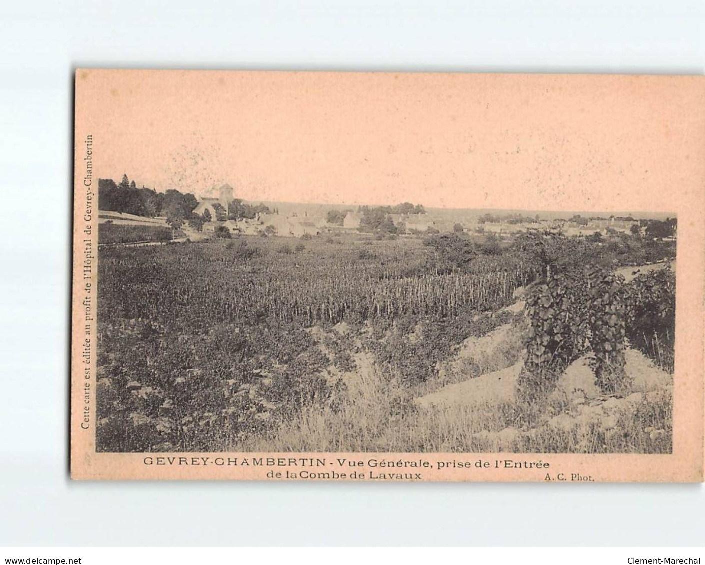 GEVREY CHAMBERTIN : Vue Générale Prise De L'entée De La Combe De Lavaux - Très Bon état - Gevrey Chambertin