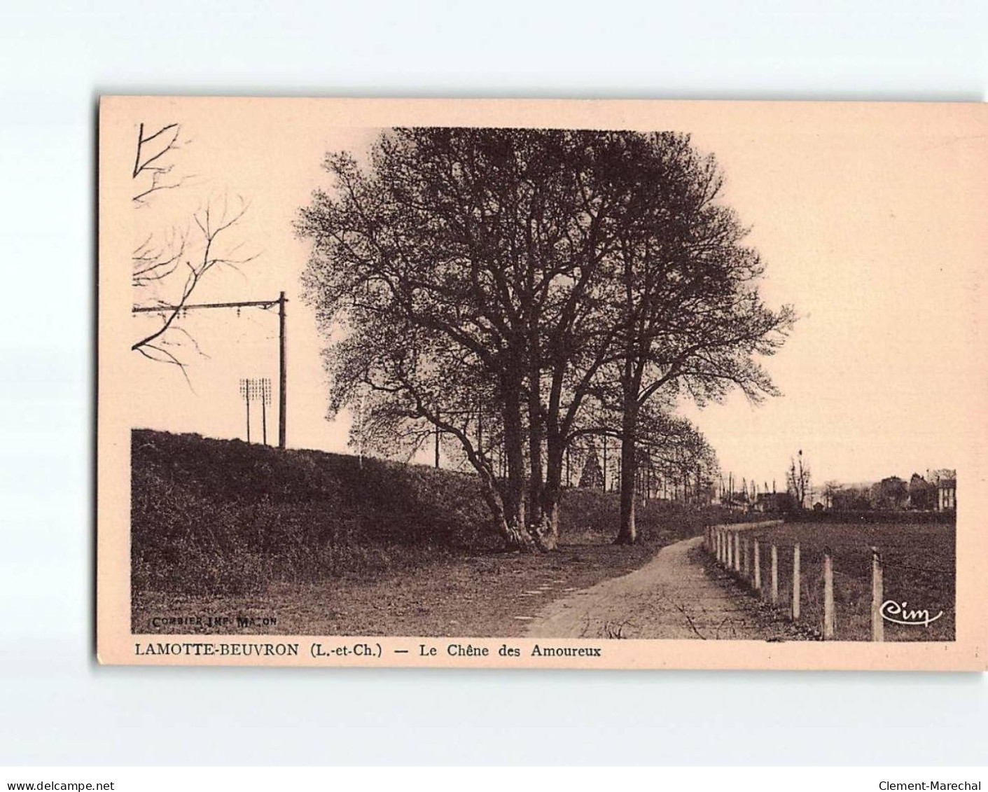 LAMOTTE BEUVRON : Le Chêne Des Amoureux - Très Bon état - Lamotte Beuvron