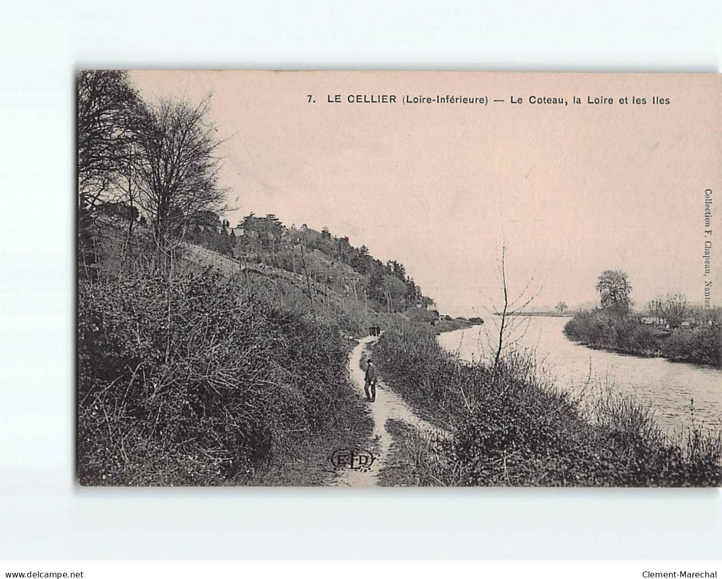LE CELLIER : Le Coteau, La Loire Et Les Iles - Très Bon état - Le Cellier