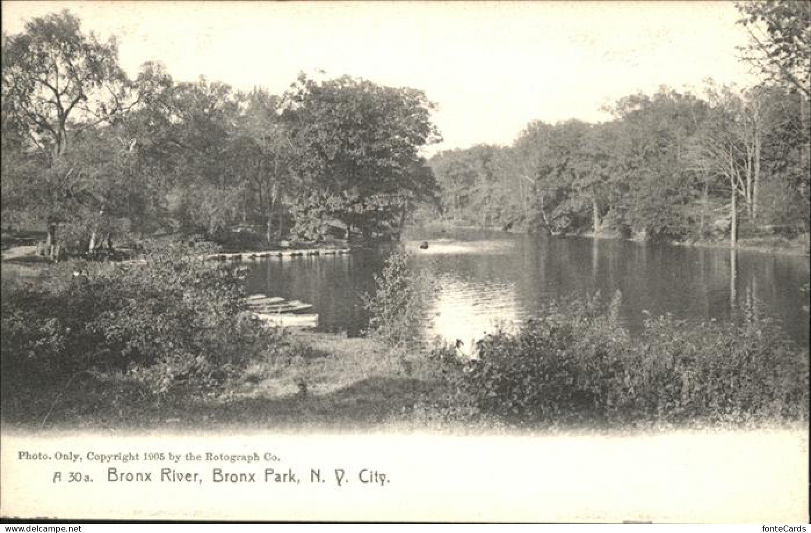 11322522 New_York_City Bronx River _ Bronx Park - Altri & Non Classificati